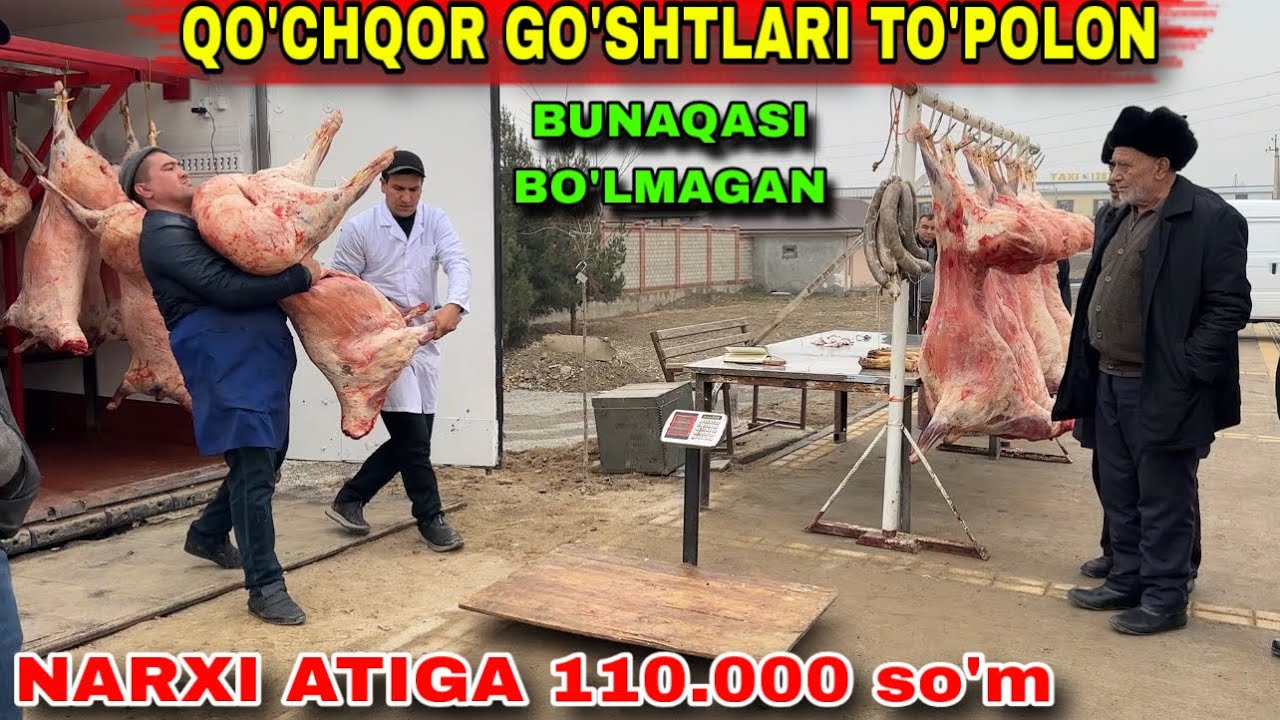 ИШОНЧЛИ ҚЎЧҚОР ГЎШТЛАРИ АТИГА 110.000 СЎМДАН!