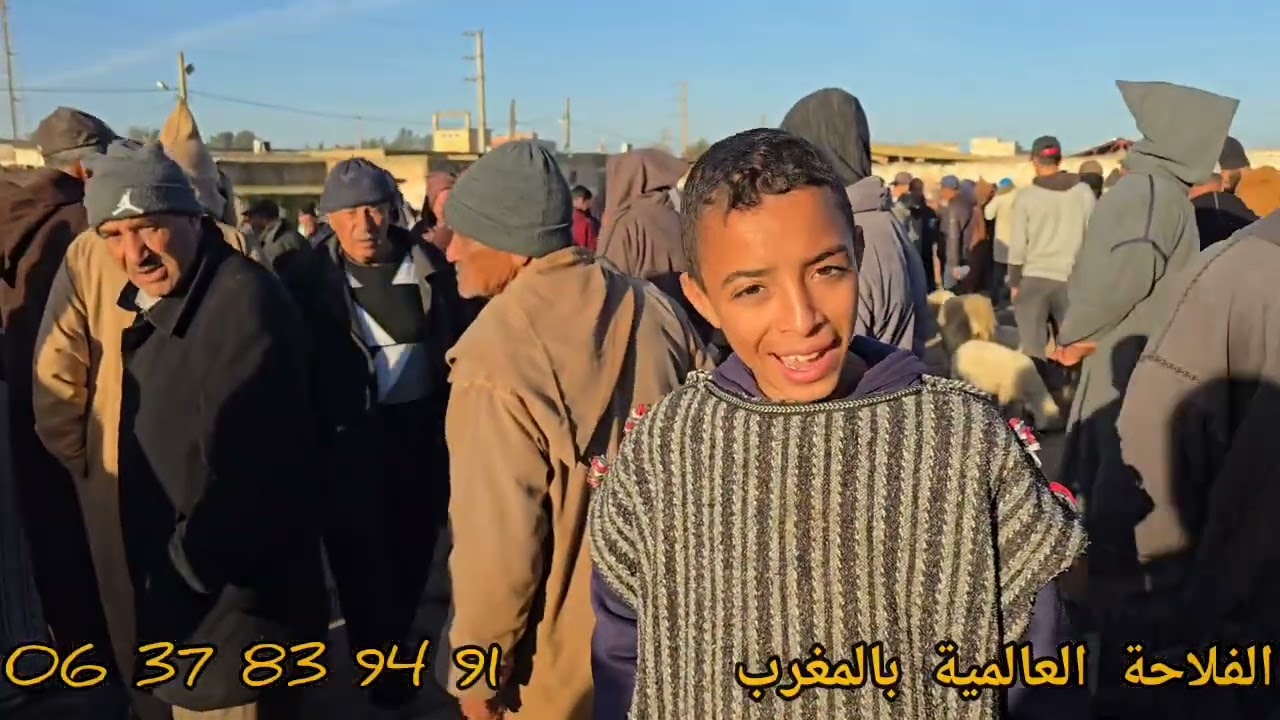 مباشر من سوق ثلاث ولاد فارس بالتاريخ 24/02/2026