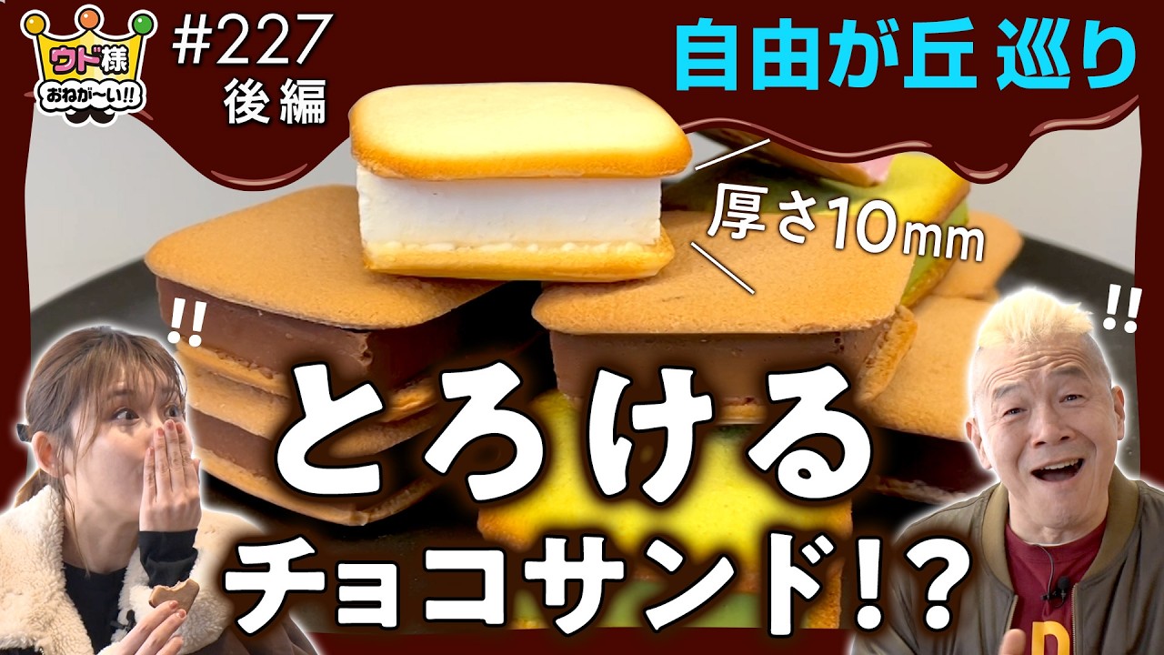 【自由が丘】チョコ好き必見！口溶けの良いエアインチョコとラングドシャの相性抜群！「ドレンティチョコレート」のこだわりチョコサンド【ウド様おねが～い!!】#227_後編