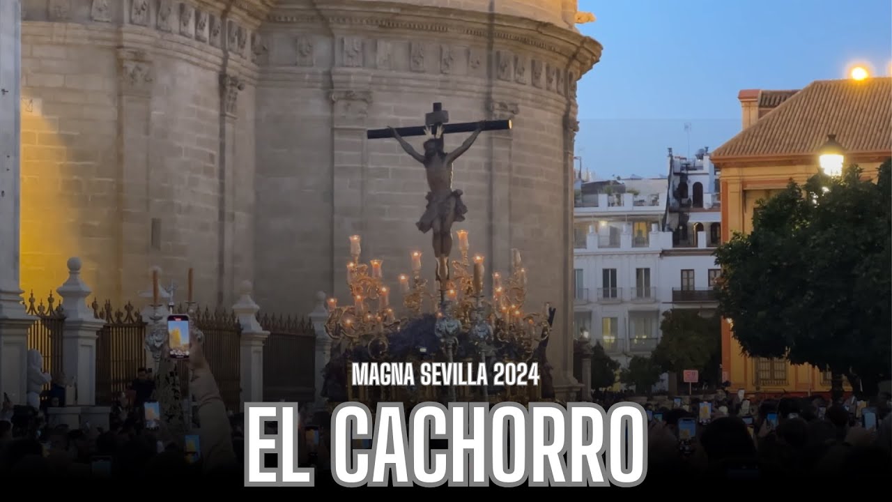 El Cachorro | Magna Sevilla 2024