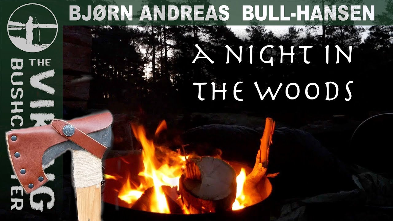 Freezing Night in the Northern Forest