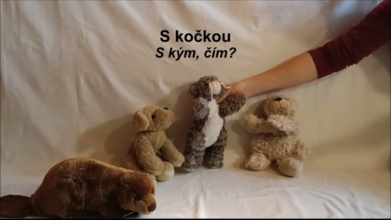 Pády a pádové otázky