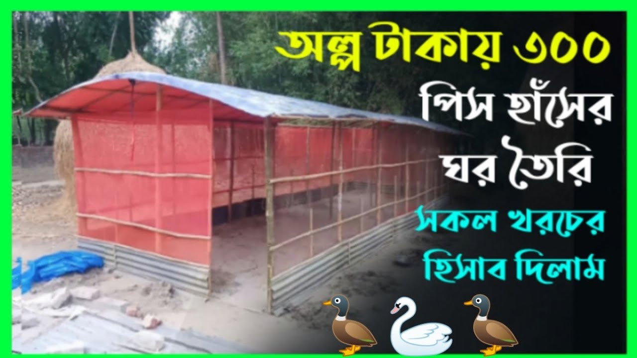 কম টাকায় ৩০০ হাঁসের ঘর তৈরি | হাঁসের ঘড় বানানো সকল খরচের হিসাব | Rajib Farming | hasr ghor