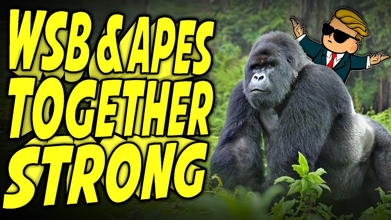 Apes Together Strong: WallStreetBets All-In on Gorillas!