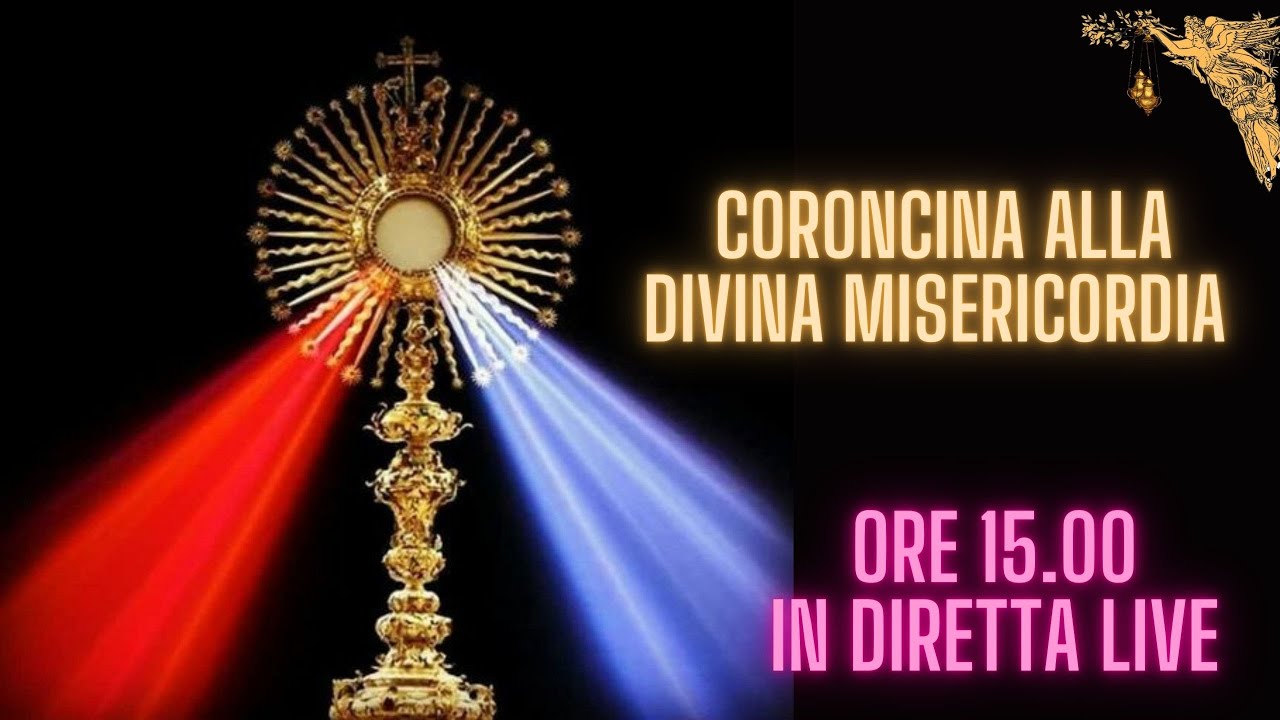 CORONCINA ALLA DIVINA MISERICORDIA - SEGUE . 24 ORE DELLA PASSIONE 7° ORA   14 - 3  - 2026