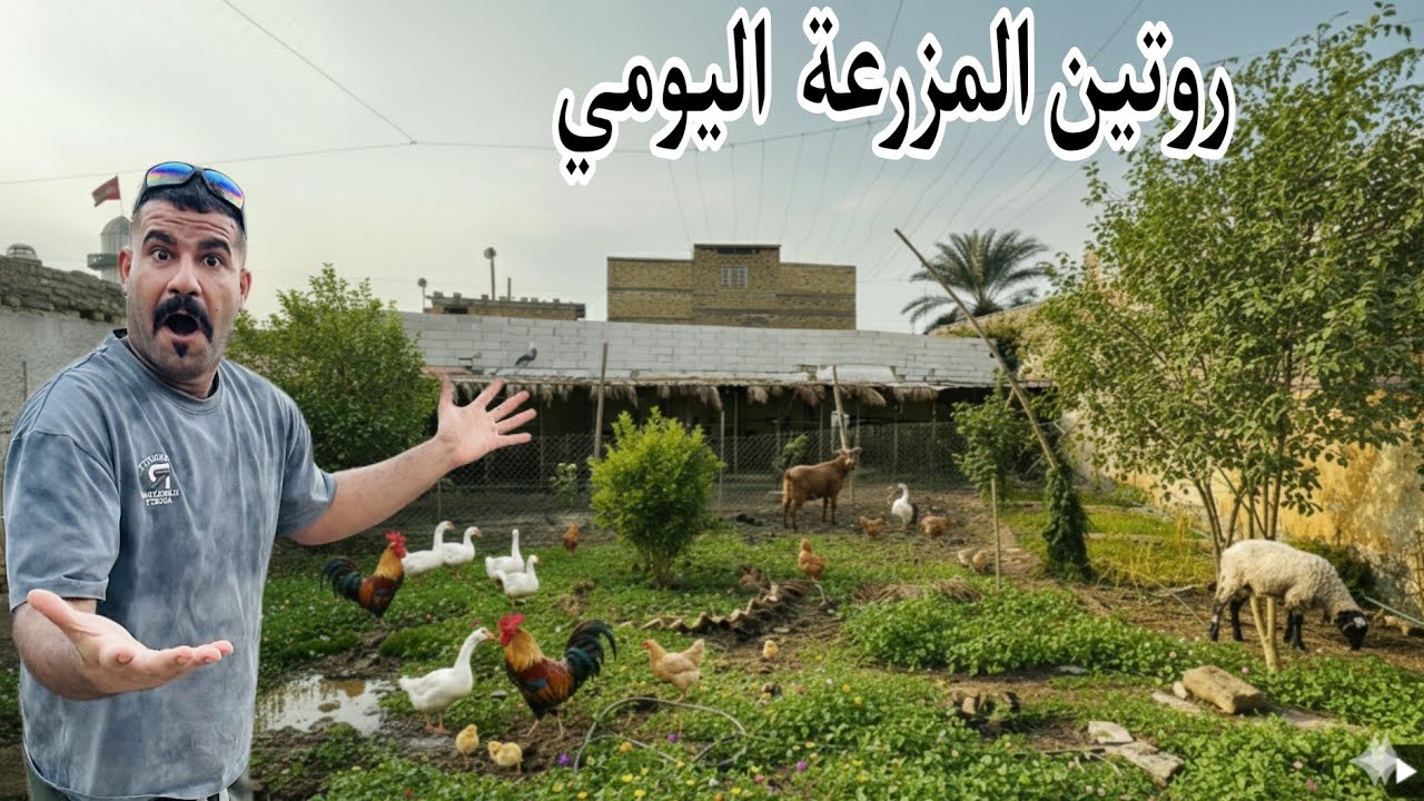 العمل في المزرعة 