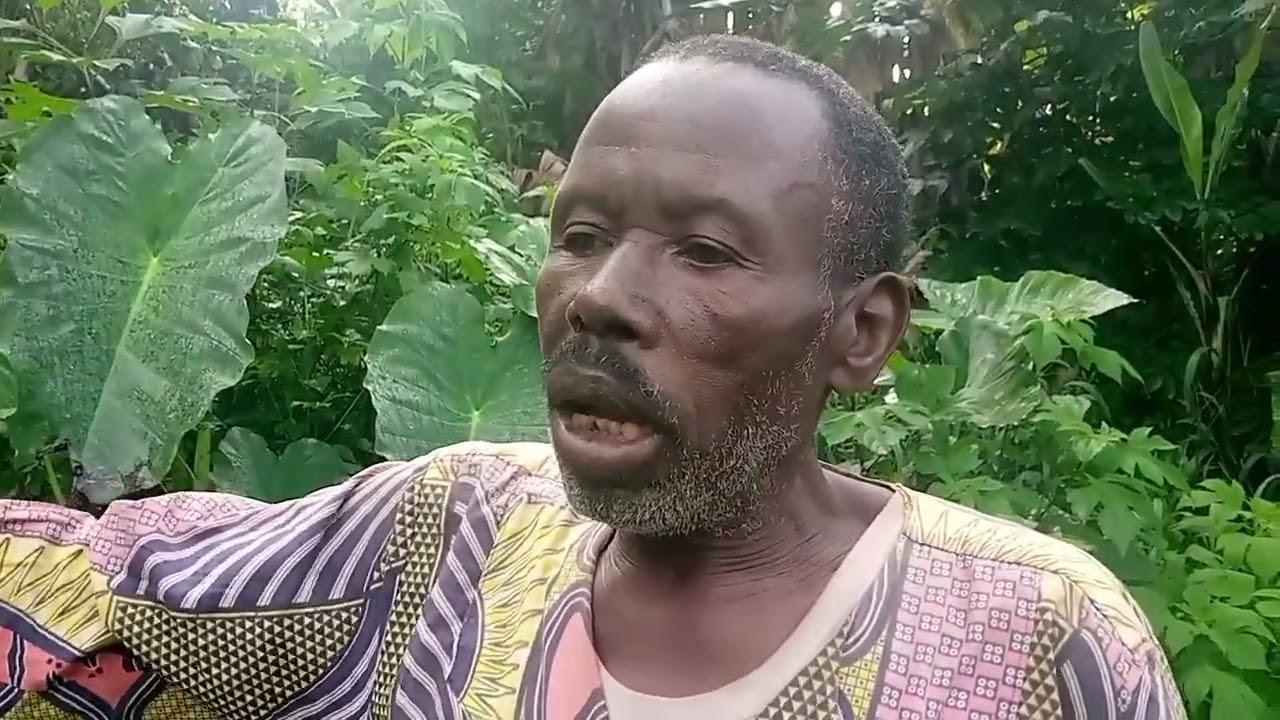 Planting Raffia Palm seedlings for water catchment protection 