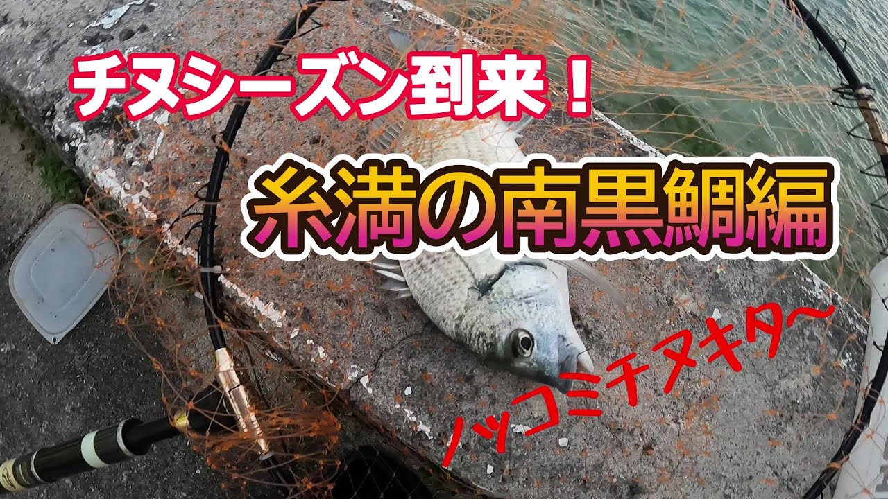 チヌシーズン到来！糸満の南黒鯛編【沖縄釣り】