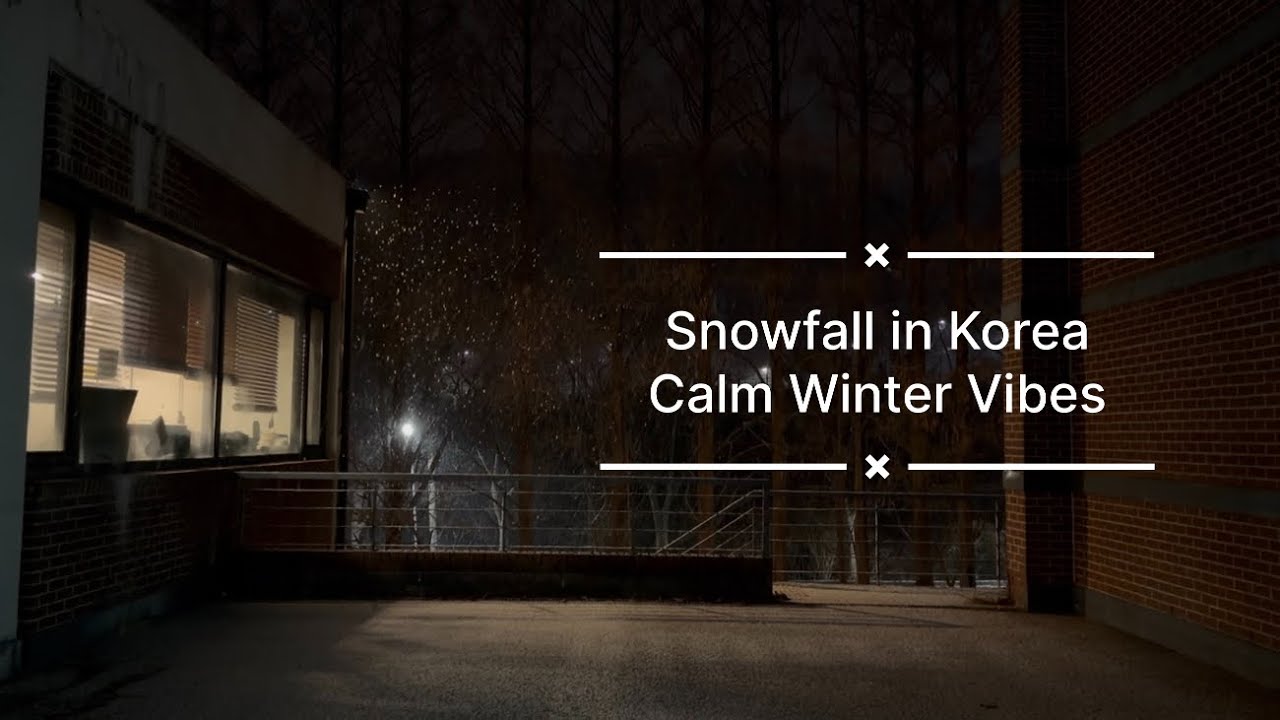 Snowfall in Korea ❄️ | 40 Minutes of Calm Winter Ambience & Slow Music 조용히 내리는 눈 ❄️