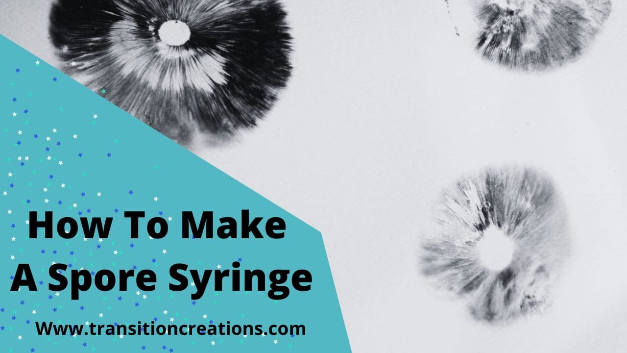 How to Make a Spore Syringe- Easy Tek