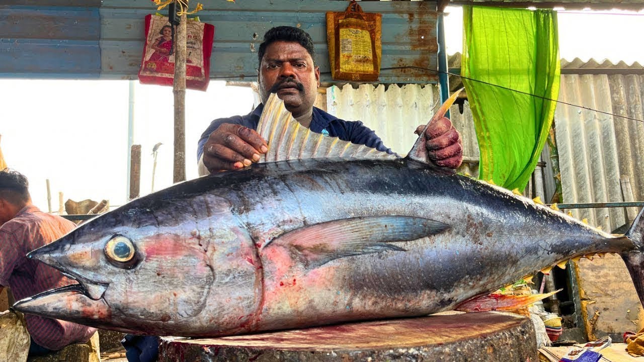 KASIMEDU 🔥 SPEED SELVAM | 32 KG GIANT YELLOW TUNA FISH CUTTING VIDEO | FF CUTTING 🔪