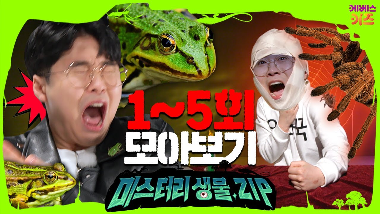 개구리 지옥에 빠진 꾹티비ㅣ거미와 함께 할로윈 파티ㅣ등화채집ㅣ미스터리생물집 1~5회 모아보기ㅣ꾹tvㅣKBS 방송