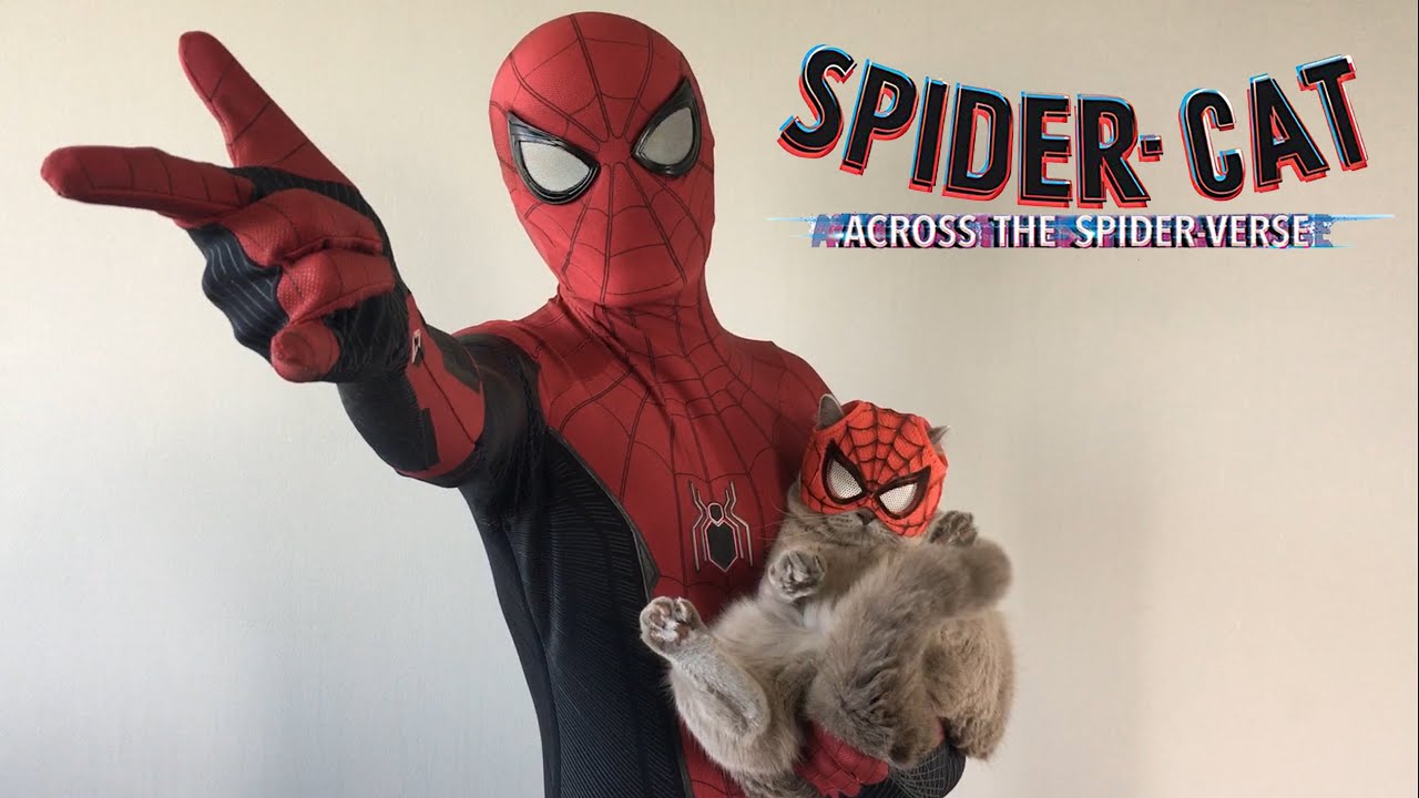 SPIDERMAN BROS UNBOXING SPIDERCAT MASK!! SPIDERCAT JOIN THE MULTIVERSE FAMILY!!!