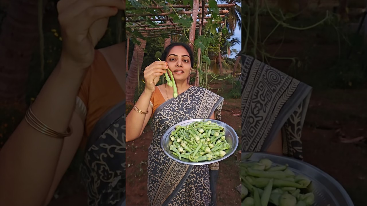 Native Mukuthi Avarai 👍 #reels #native #sale #fresh #food #farming #organic #green #vegetables