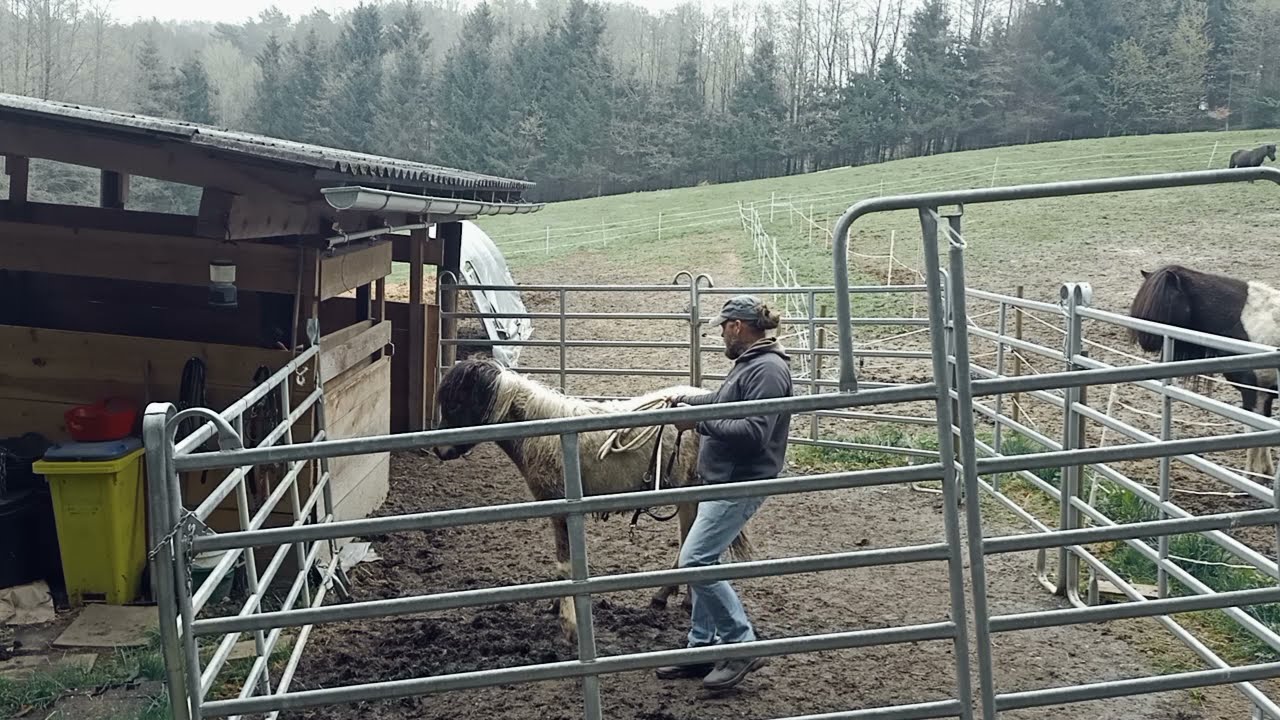 Tag 2 - Beginn des Einzeltrainings - Höttur