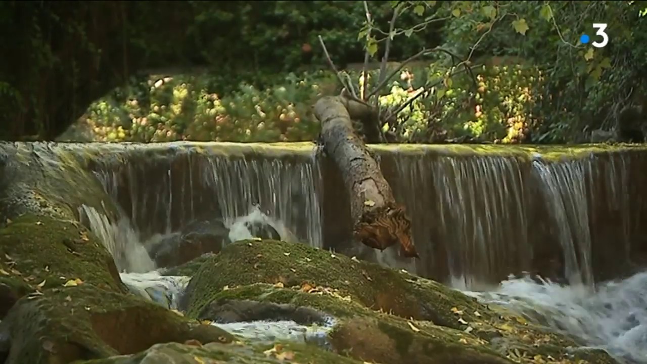 Savoie : les gorges du Sierroz, un trésor touristique oublié en passe d'être réhabilité