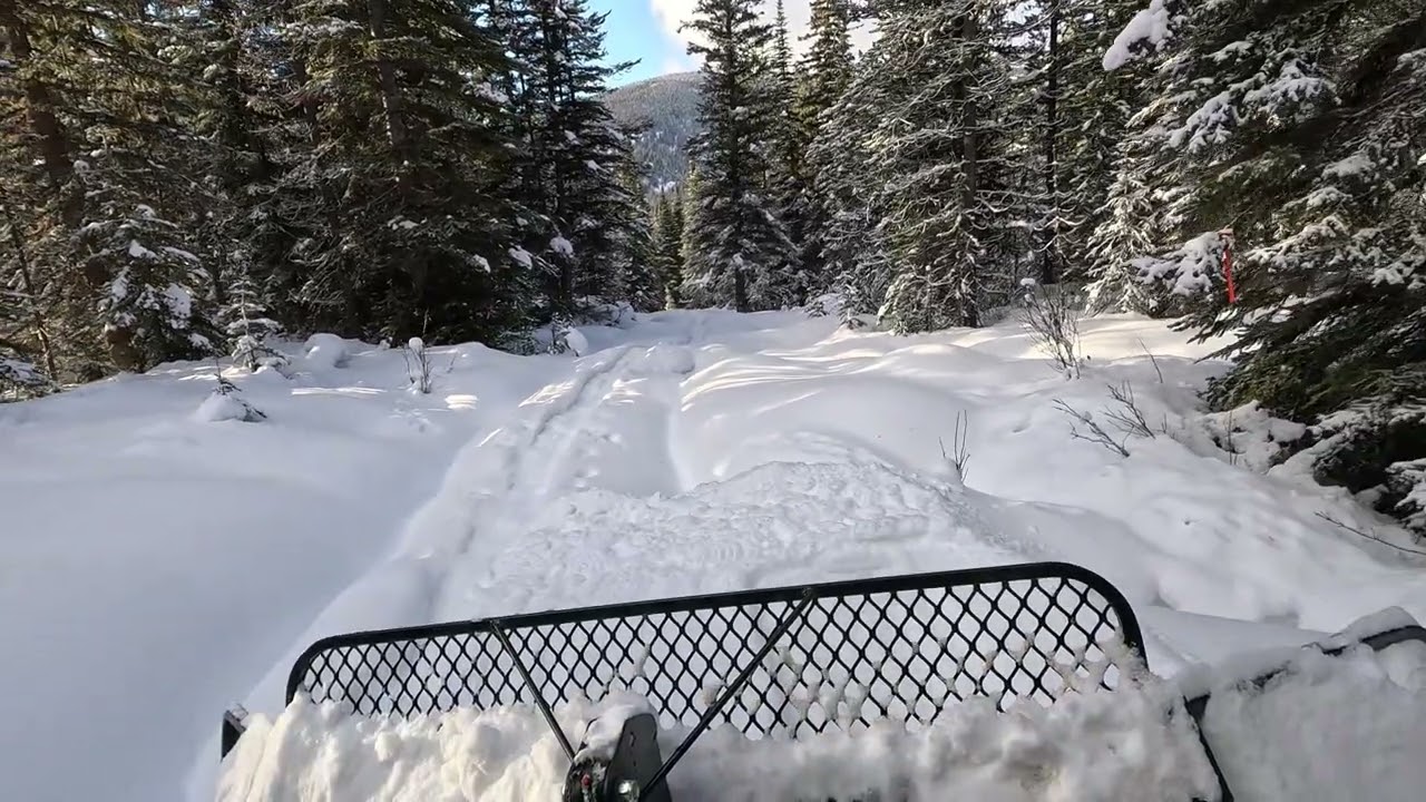 More Fun with the Snow Rabbit