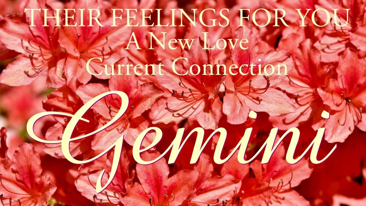 GEMINI love tarot ♊️ This Person Is Very Curious About Your Past Gemini
