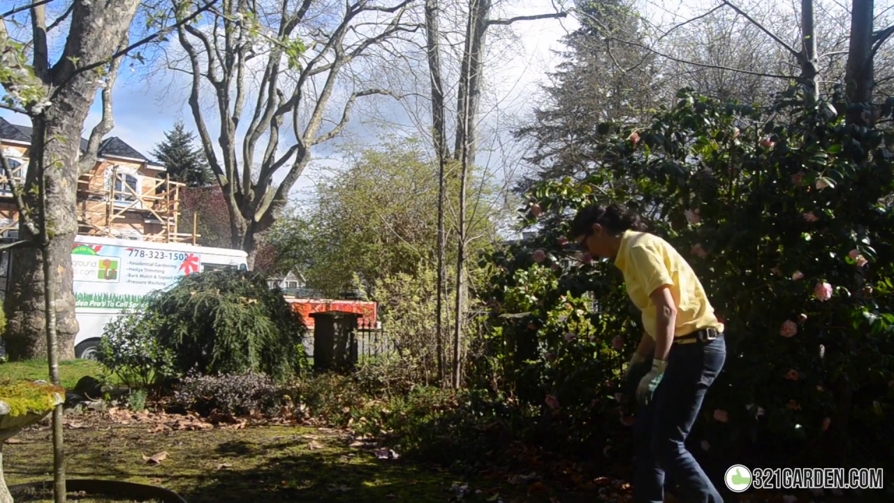 Everything You Need to Know for a Spring Garden and Yard Clean Up