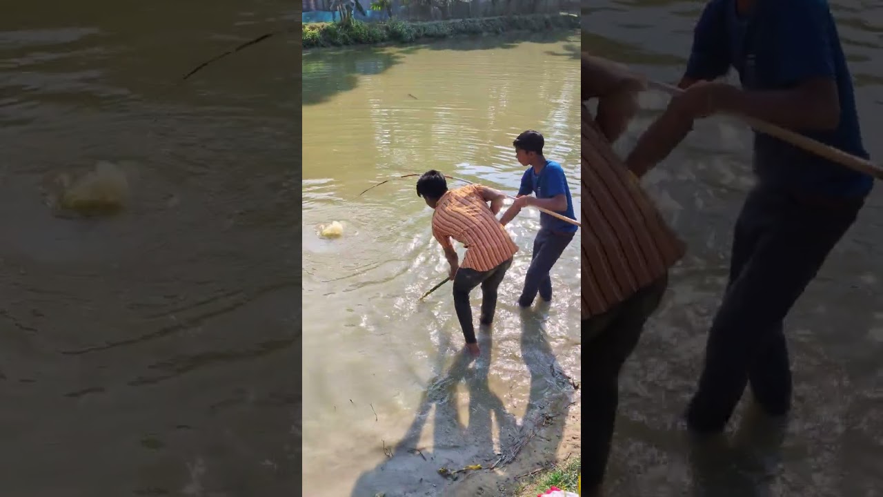 বড় মাছ ধরলো কেমনে? 