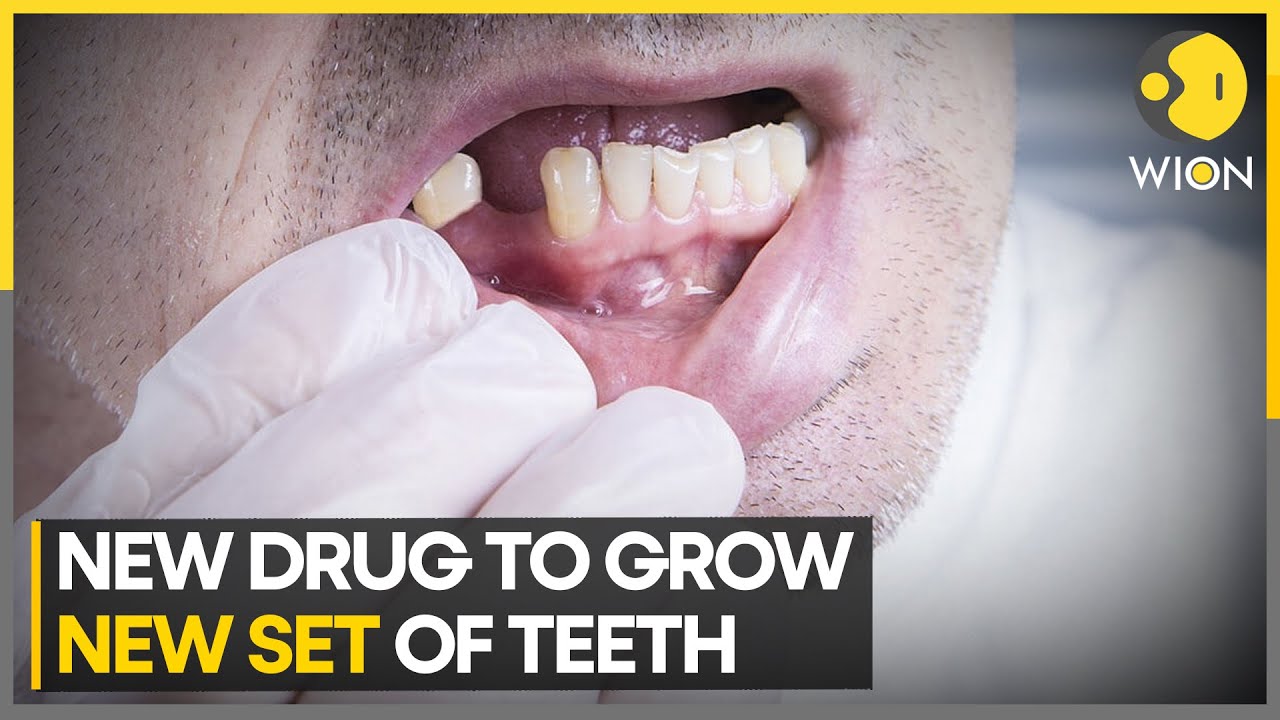 This drug could allow you to grow new teeth | Latest News | WION