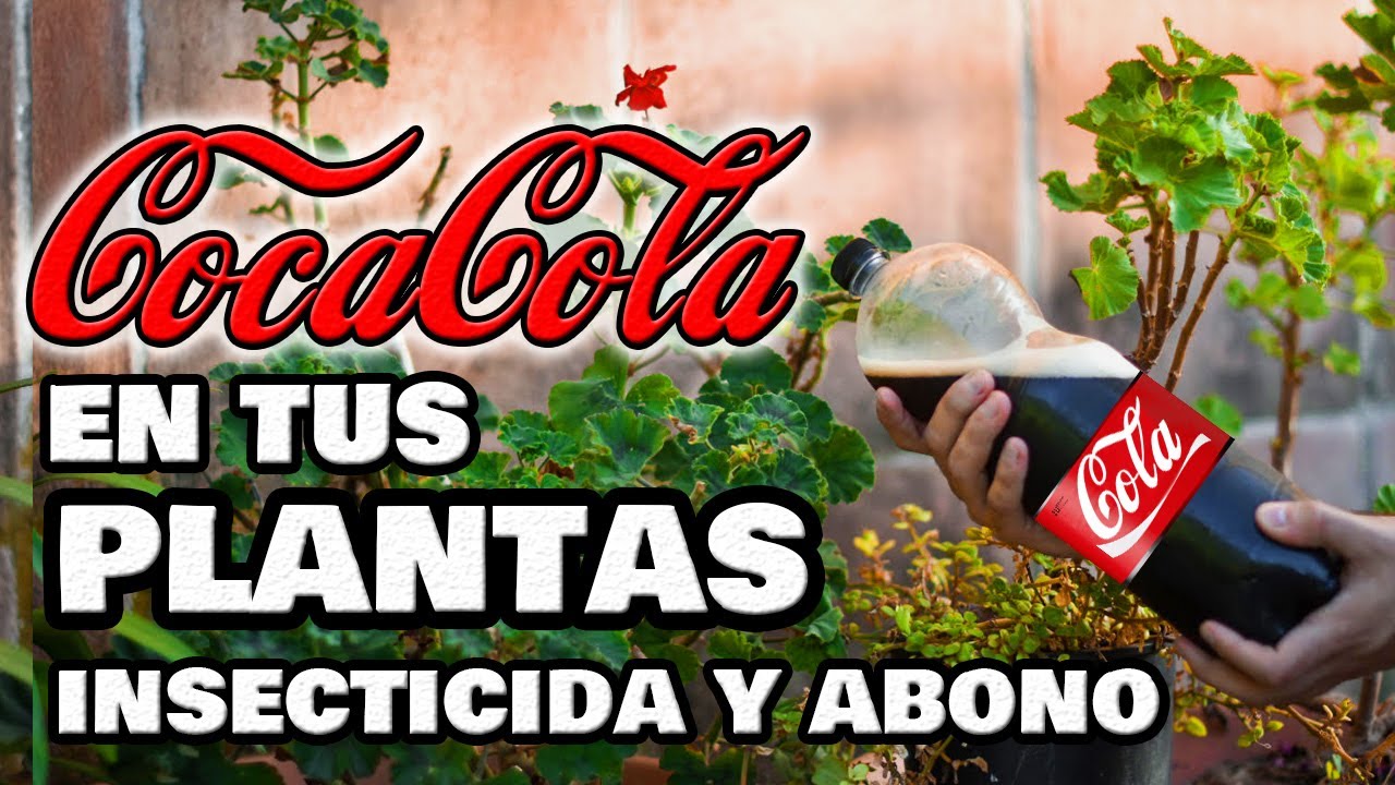 ¡INCREÍBLE INSECTICIDA y ABONO con COCA-COLA! Plantas y Huerto Urbano 🥤 Fungicida Pesticida Casero