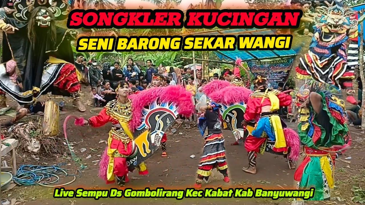 Songkler Kucingan Seni Barong Sekar Wangi Live Sempu Ds. Gombolirang