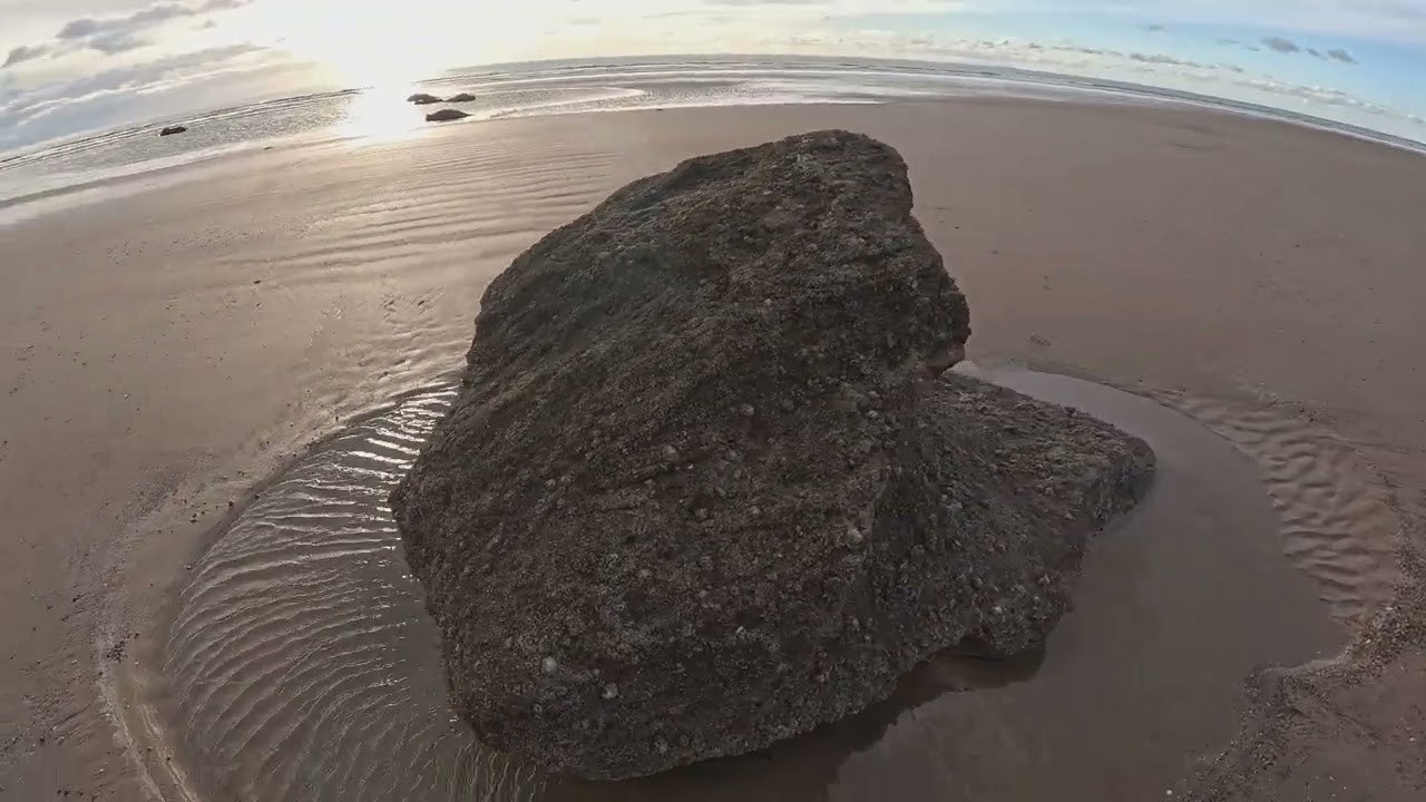 Beach , Feb , 2026