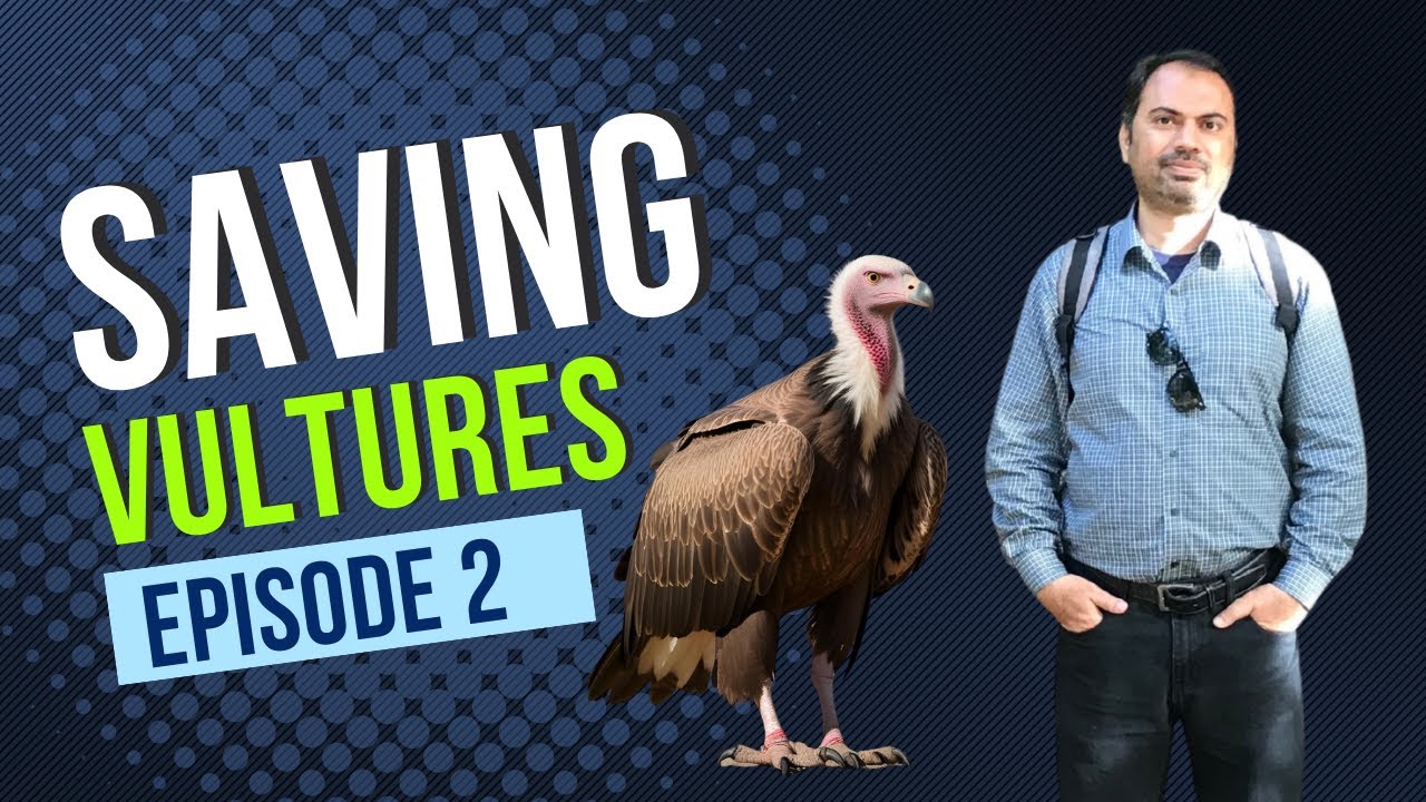 Saving Vultures | Saving Ourselves | Must-Know Wildlife Crisis | Episode 2