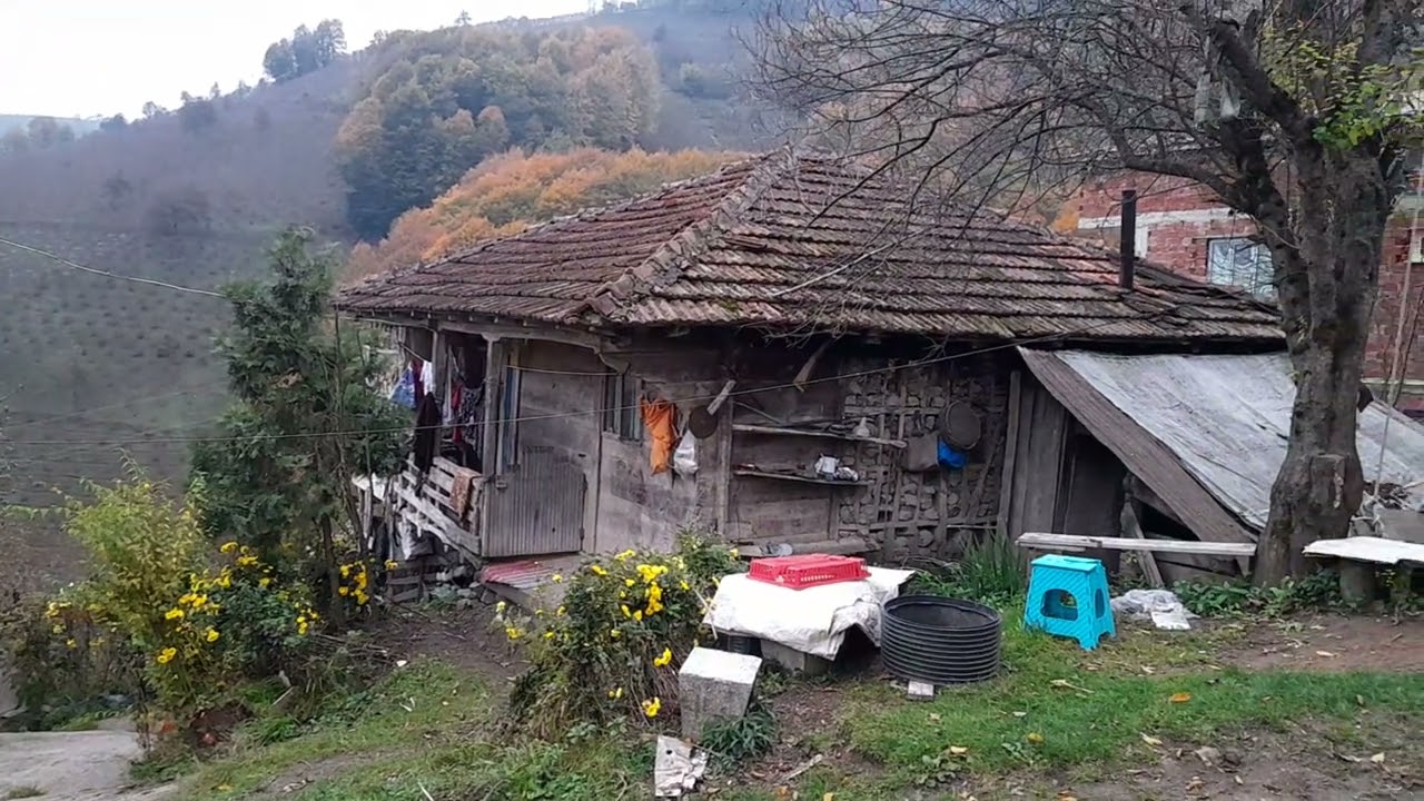 Köy
