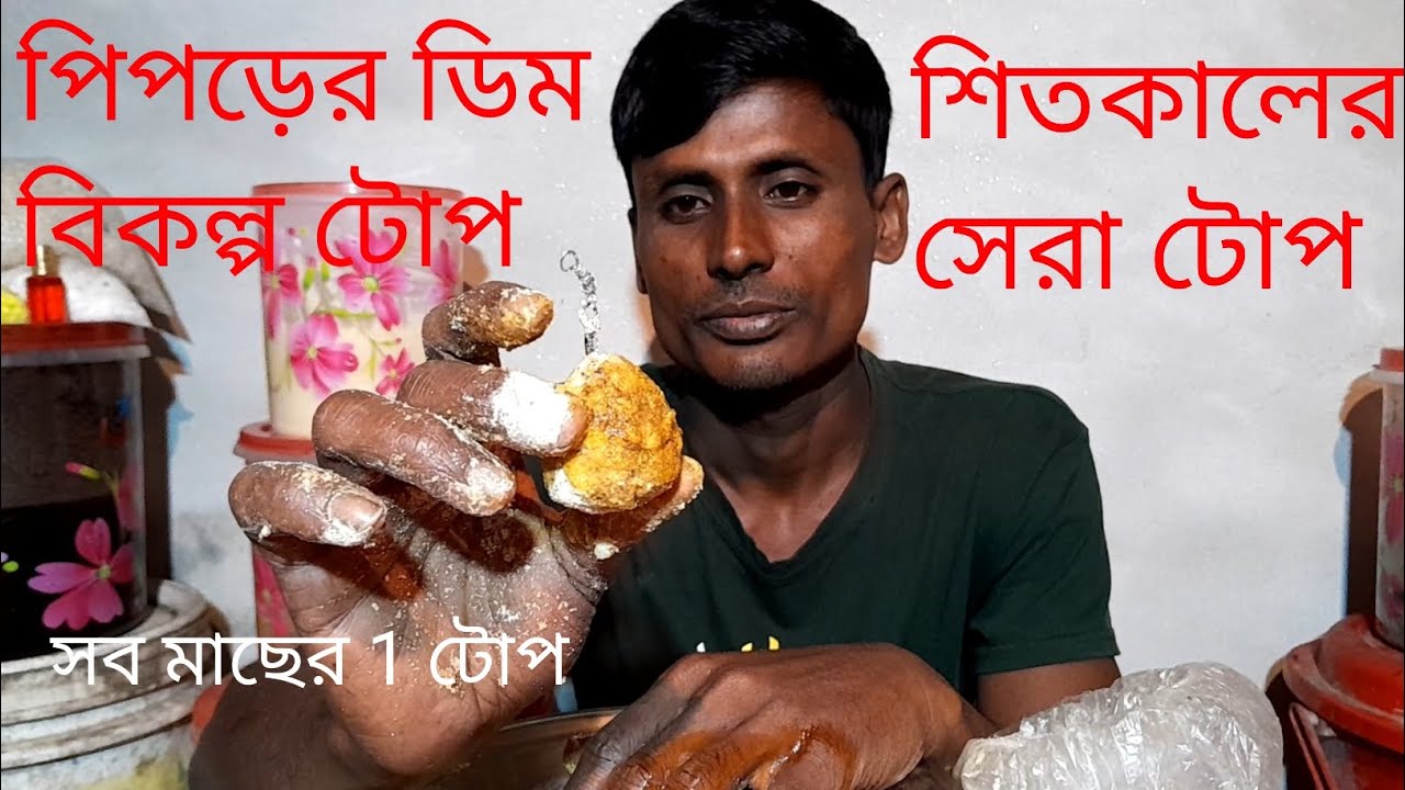 মাছ ধরার টোপ॥ পিপড়ের ডিম ছাড়া বিকল্প টোপ॥ মাছ ধরার মেডিসিন টোপ ॥ mach dhara medicine 💊 top