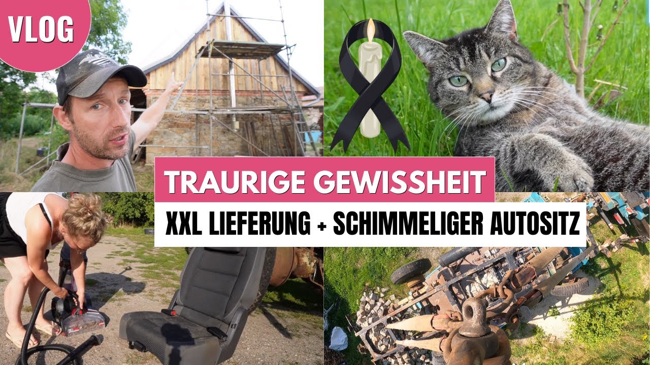 Schimmelalarm 😲 | Der Giebel ist fertig | Fahrradtour und Früchte pflücken | UKF