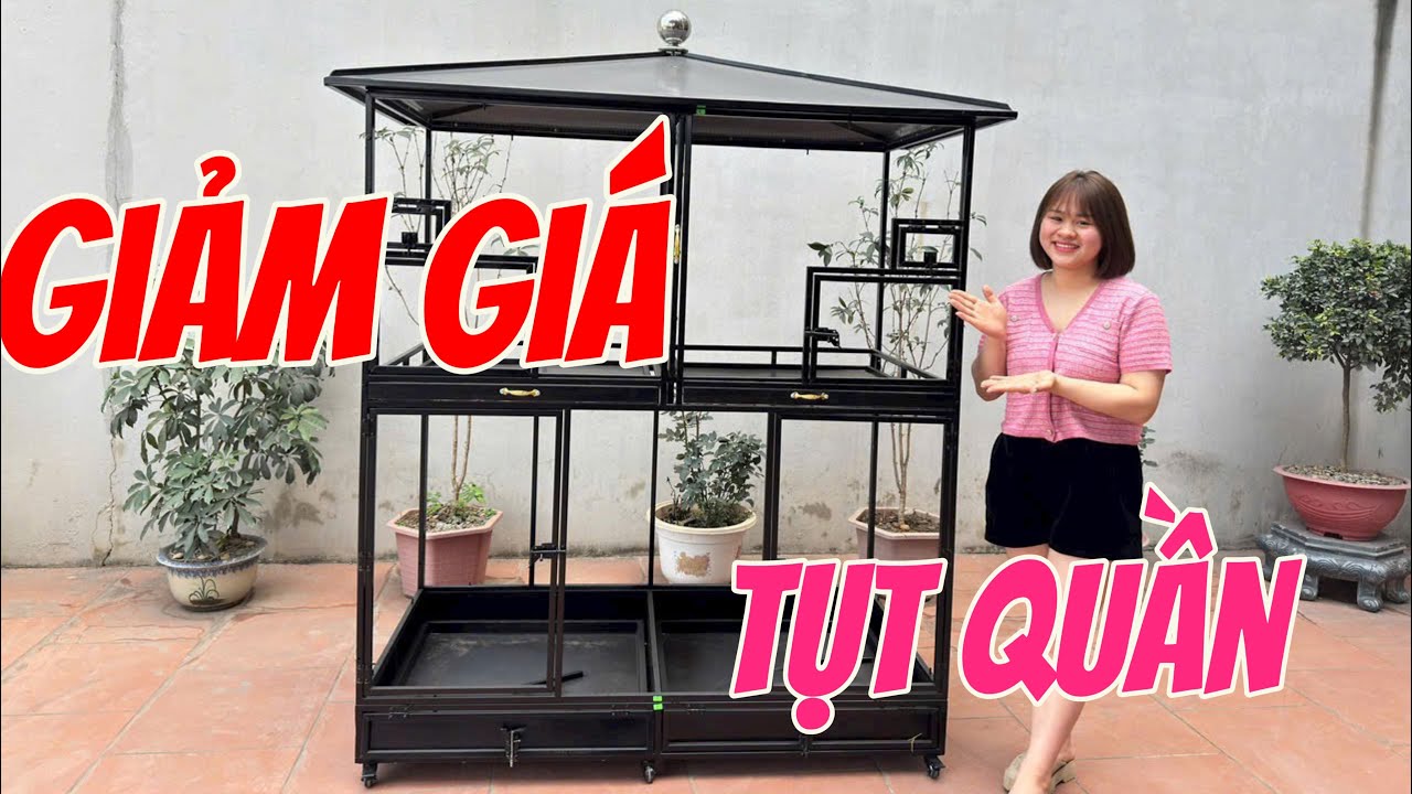 Giảm giá tụt quần cho mẫu avi siêu đẹp, siêu rẻ