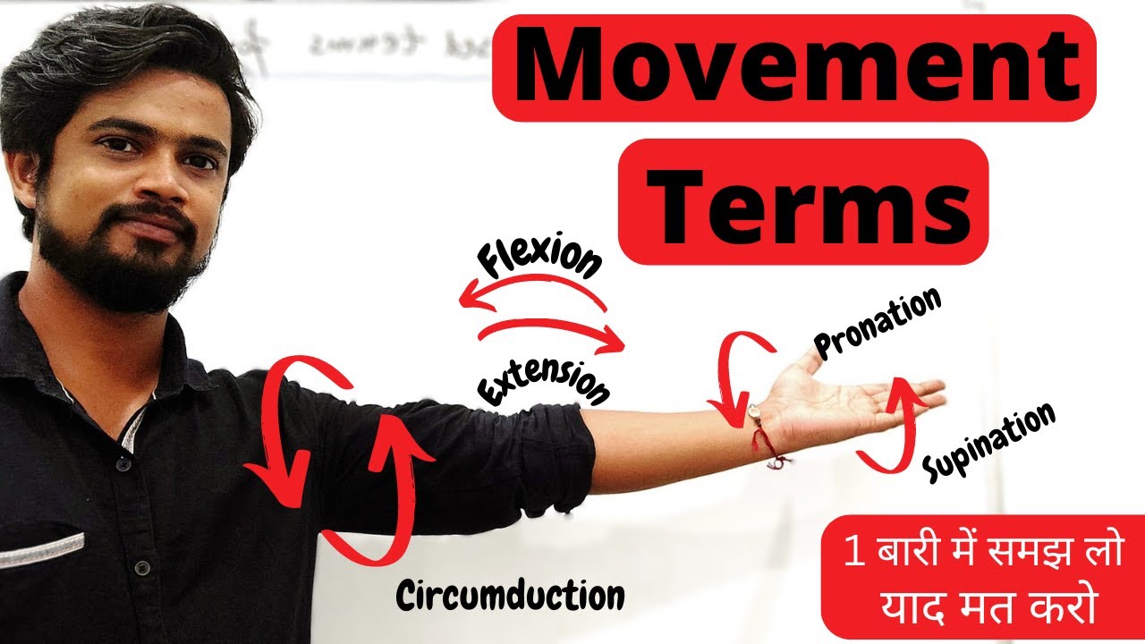 Anatomical Terms | Movements at Synovial Joints | Flexion | Extension | Adduction | Hindi