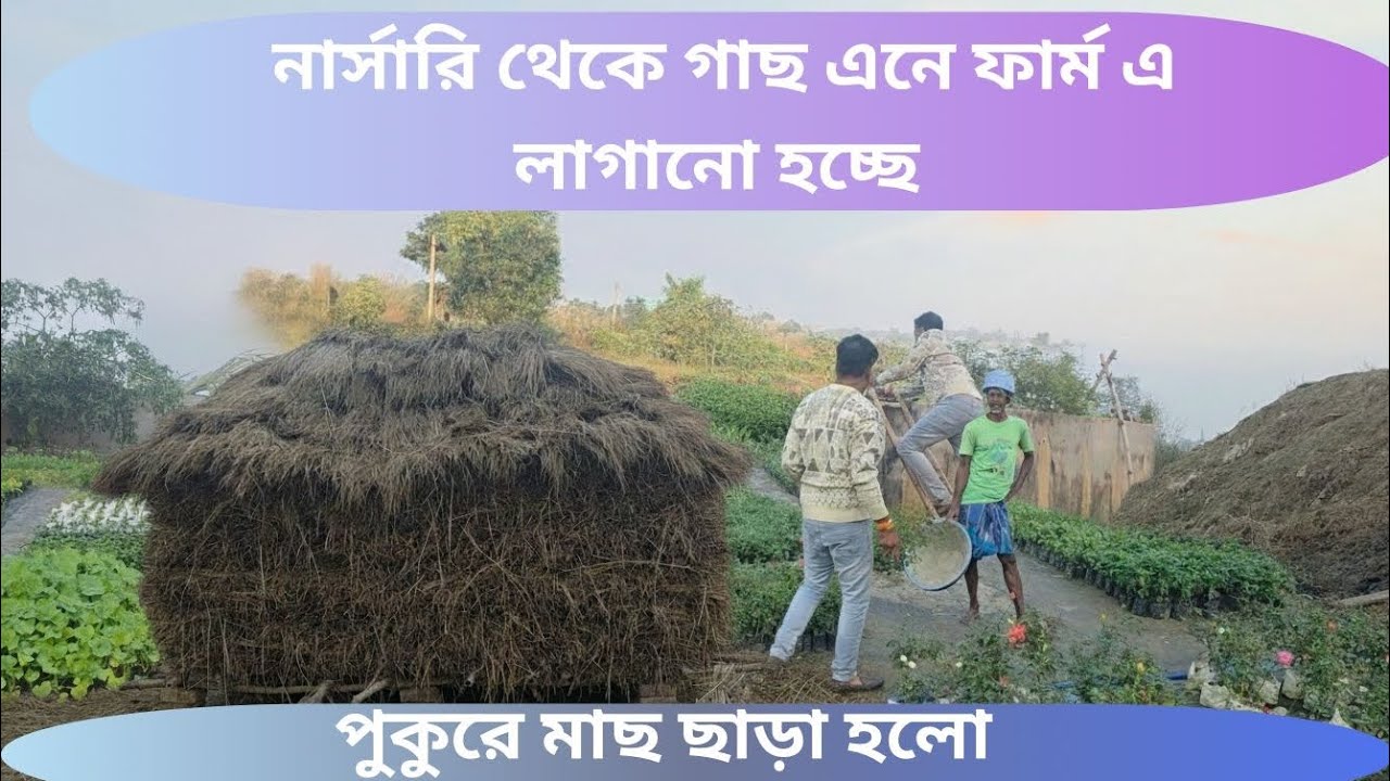 নার্সারি থেকে এলো শীতের গাছ | আর ছাড়া হল পুকুরে নতুন মাছ #farming  #flower #fish #villagefarming
