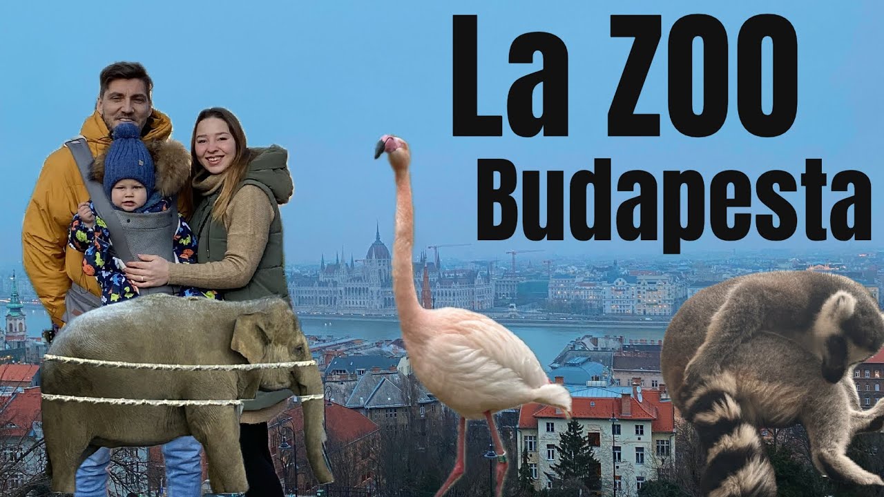 Cea mai ciudată grădină zoologică TOP 10 locuri de vizitat în Budapesta