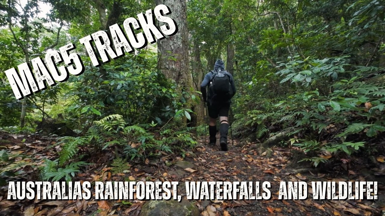 O'Reilly's to Binna Burra via Toolona Creek | Lamington National Park | Hiking Gold Coast Australia