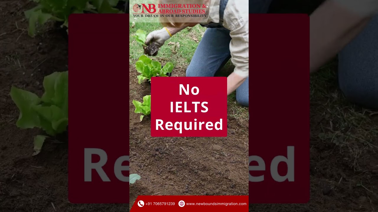 💼 Work in Canada with NO IELTS and NO EDUCATION Required!