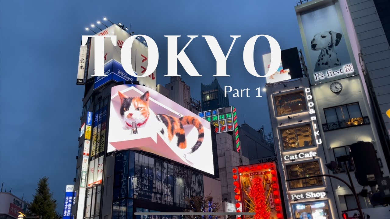 Tokyo, Part 1 | Exploring a new neighbourhood, secondhand shops, local food