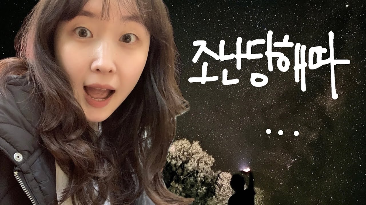 VLOG 호주워홀, 지역이동 중에 조난당해따…🤧