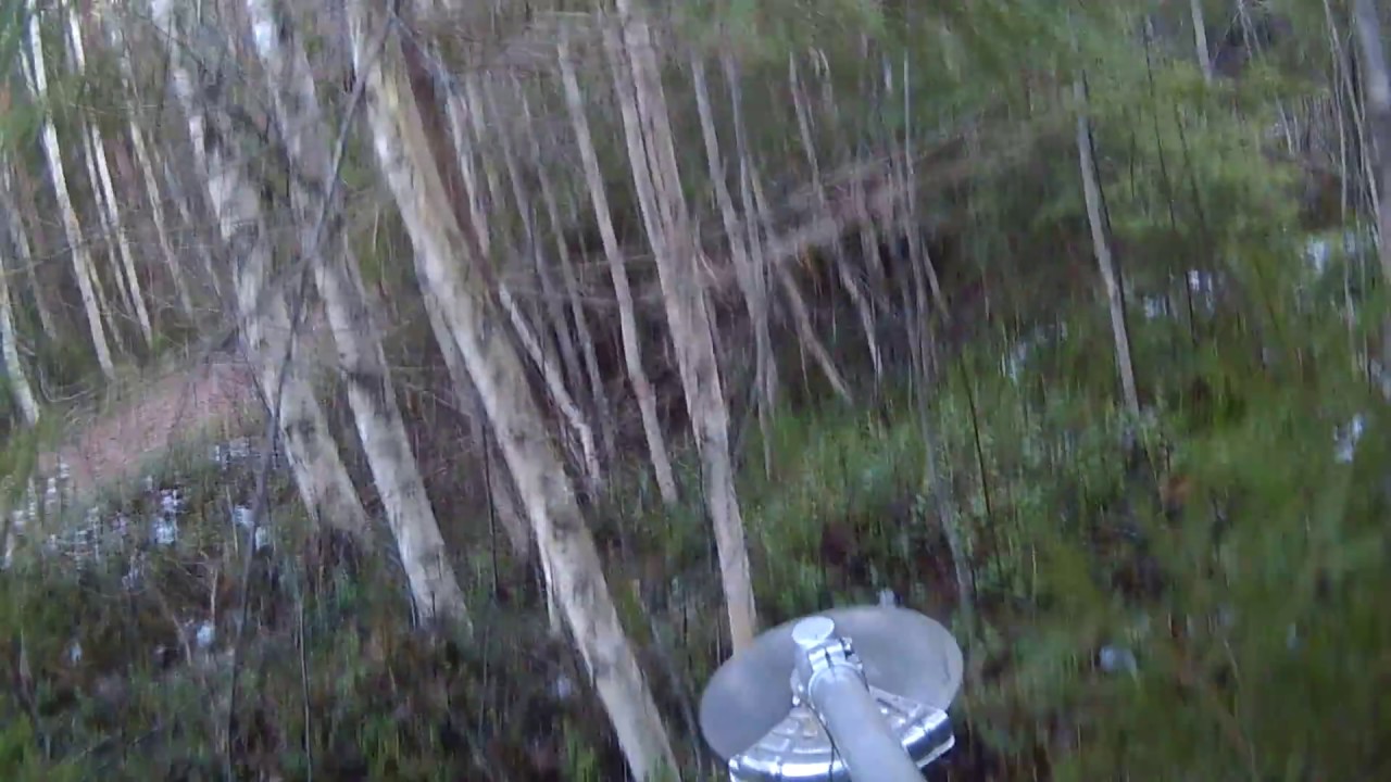 Årets sista röjning med Husqvarna 555FXT