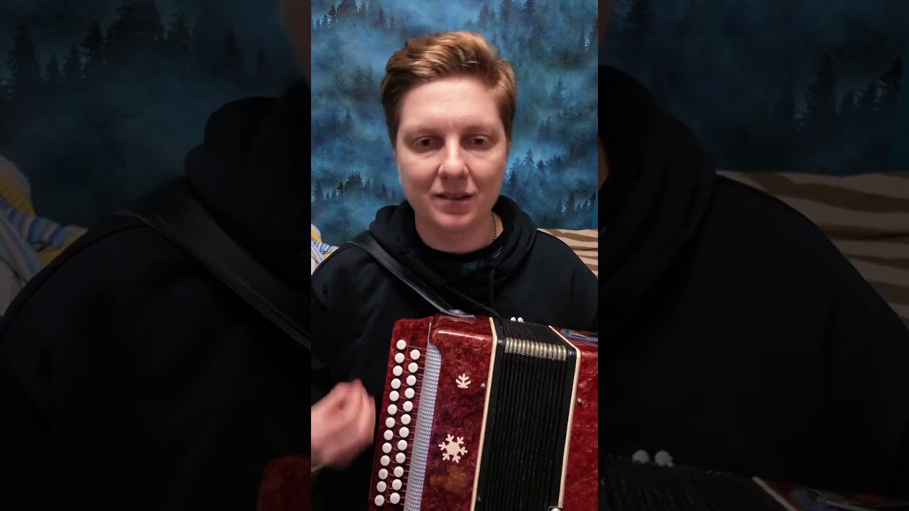 Как выбрать гармонь? #баян #гармонь