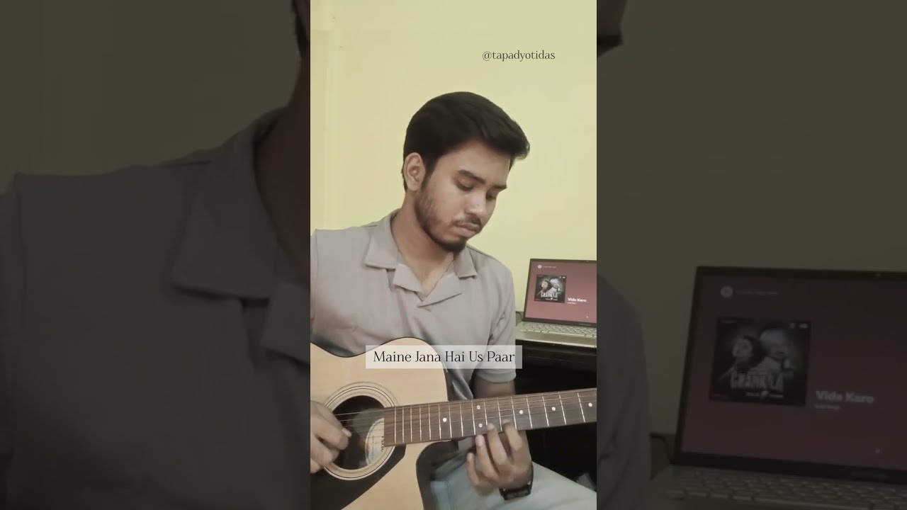 Vida Karo Guitar Instrumental Cover  #guitarcover