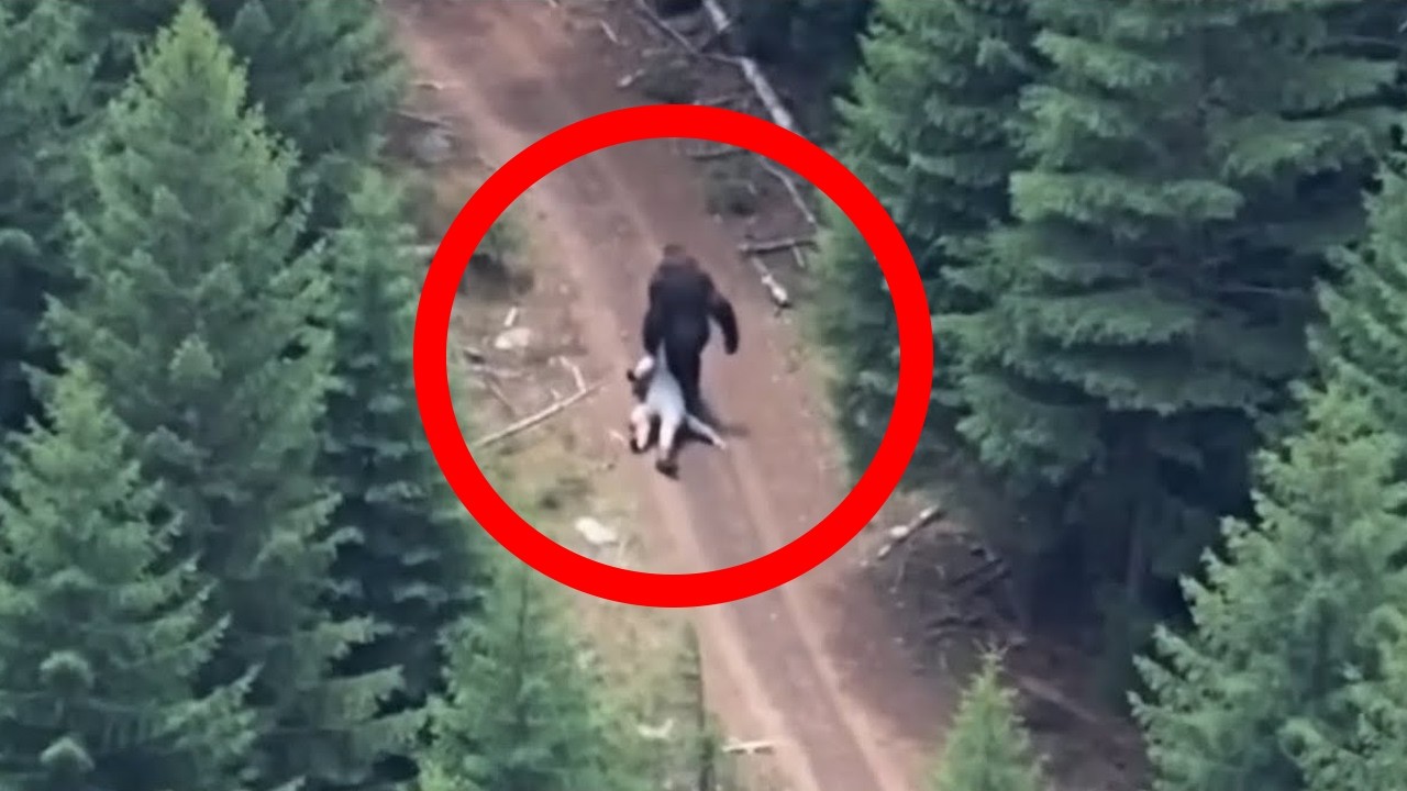 ECHTE Bigfoot Begegnungen, die auf Kamera festgehalten wurden