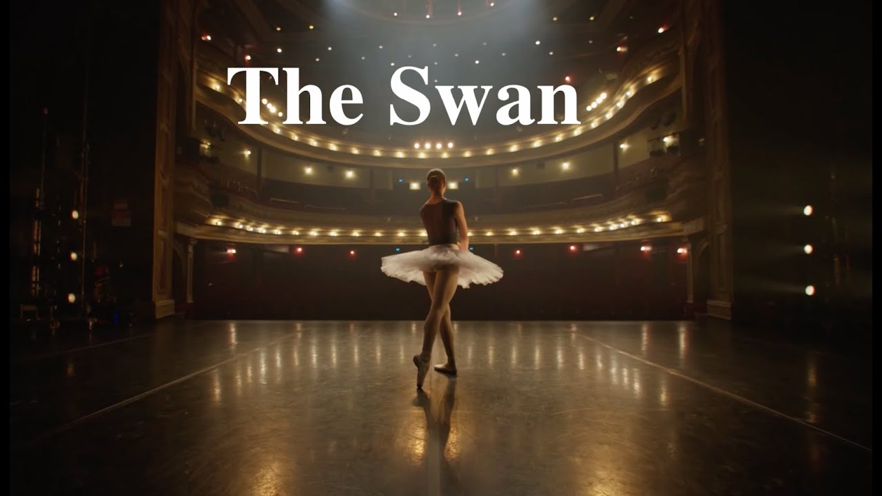 Edit Fest 2025 - The Swan - Movie Trailer