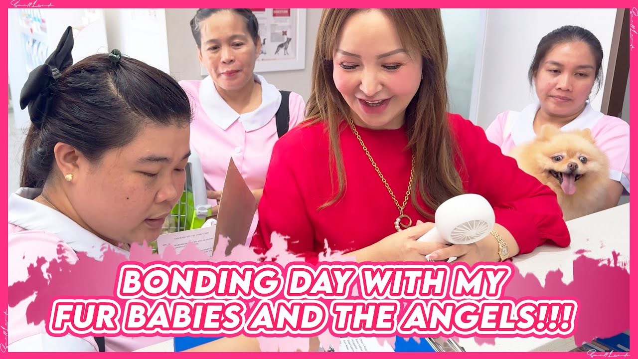 PAMPER DAY FOR MY FURBABIES WIZ & POM POM!  | Small Laude