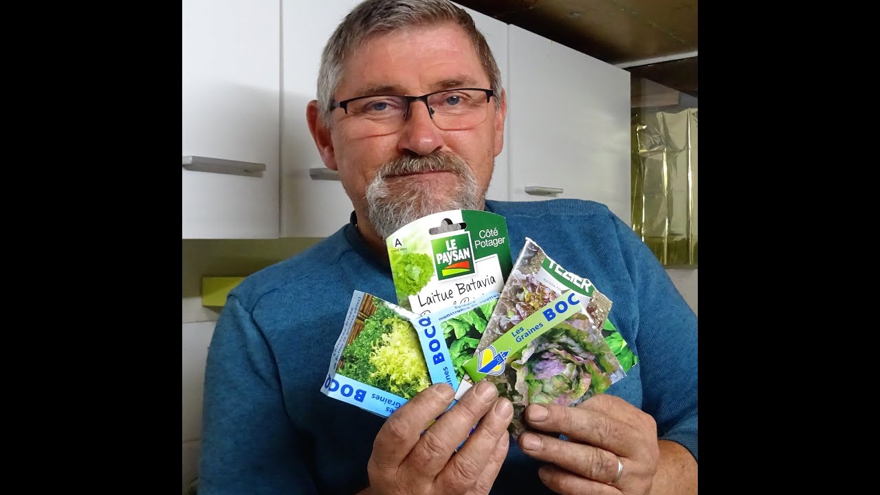 le 19/08/2021:Comment manger de la salade toute l'année ?