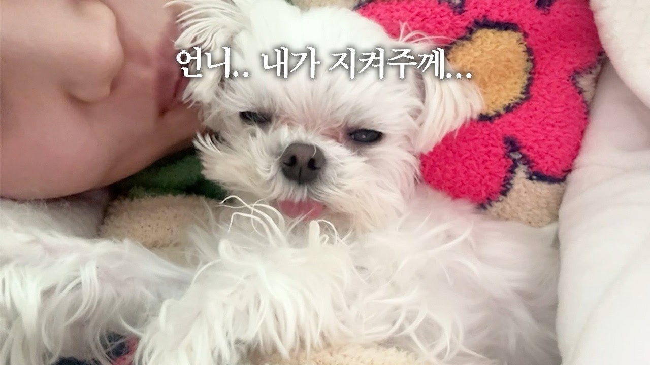 나 아픈데 좀 나가줄래..?