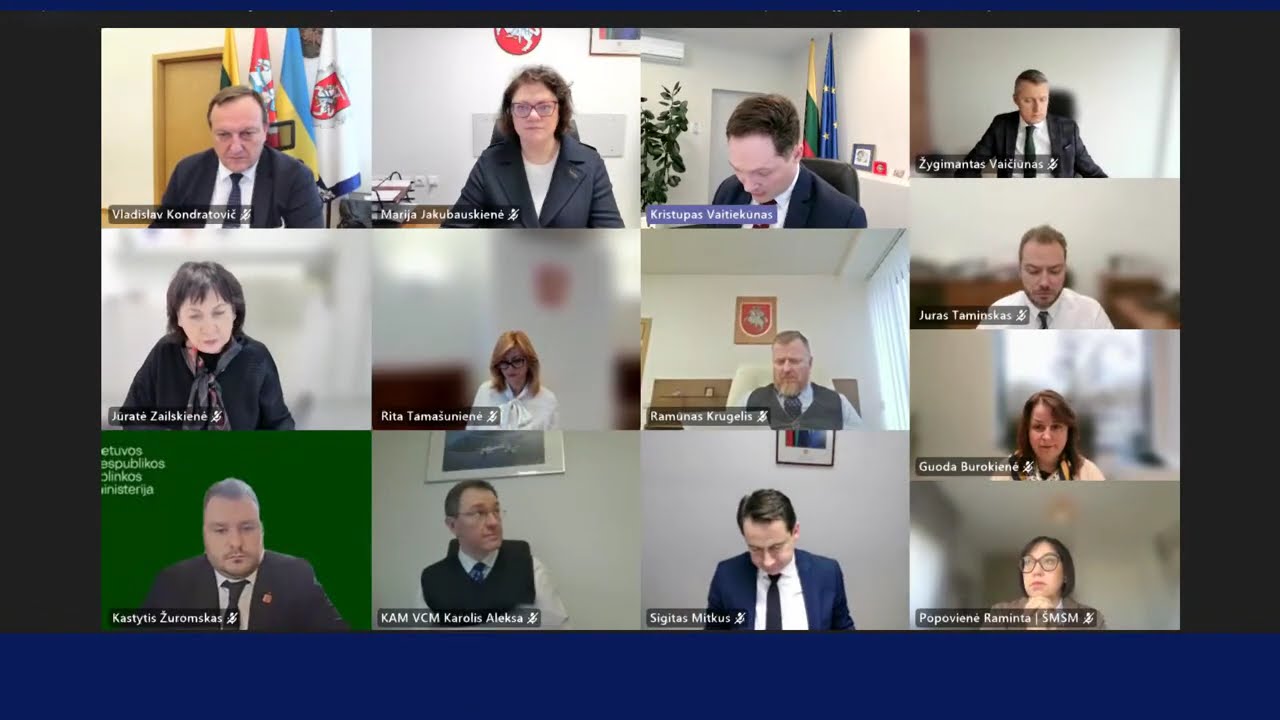 2025-12-29 Nuotolinis Vyriausybės pasitarimas ir posėdis