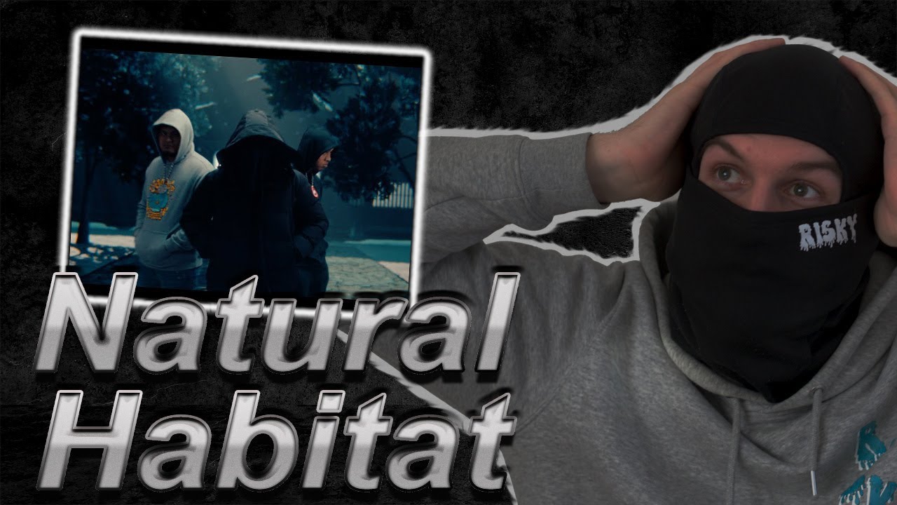 ONEFOUR - Natural Habitat (Official Music Video) (REACTION)